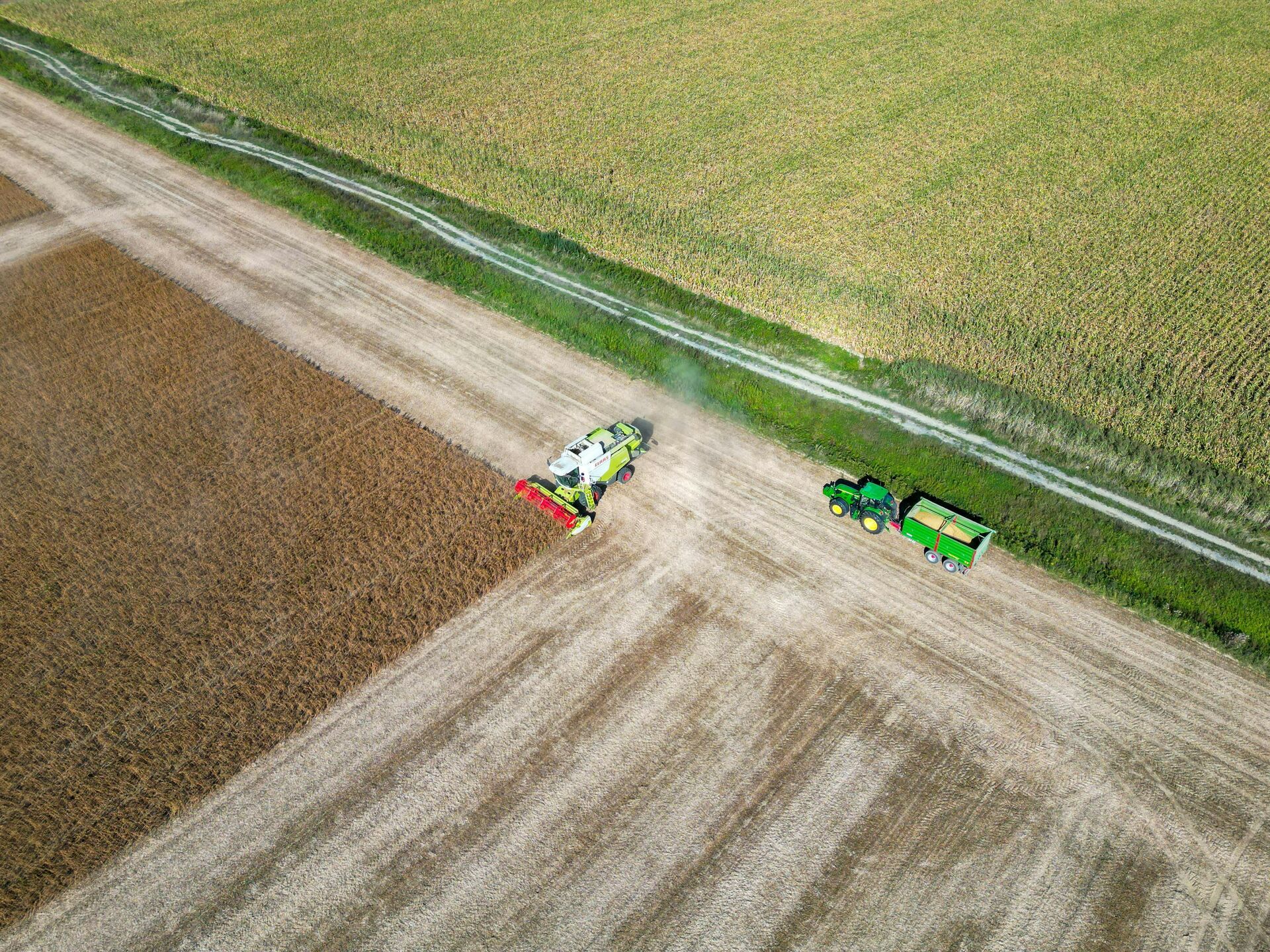Recrutement agricole -  TC Consulting